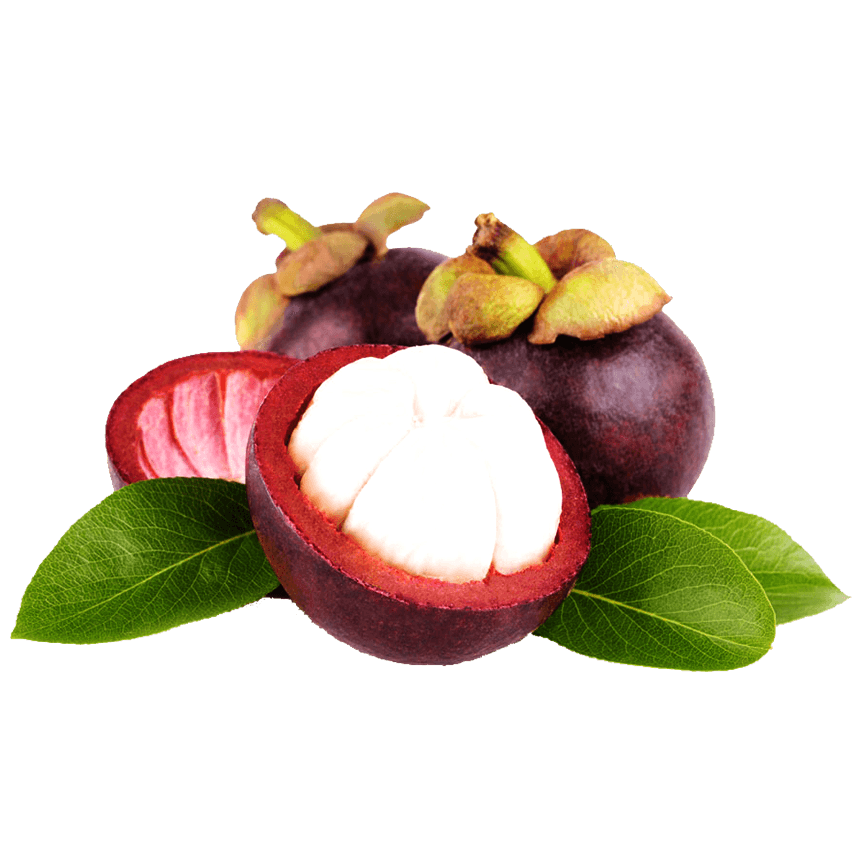 Nokki Farm Freeze-Dried Mangosteen - (1.76oz or Mini Six Pack) - Fruit Snacks