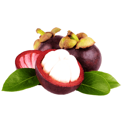 Nokki Farm Freeze-Dried Mangosteen - (1.76oz or Mini Six Pack) - Fruit Snacks
