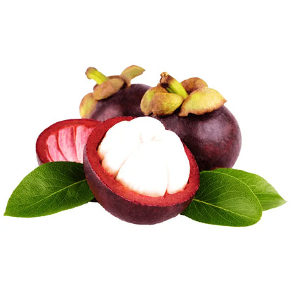 Nokki Farm Freeze-Dried Mangosteen - (1.76oz or Mini Six Pack) - Fruit Snacks